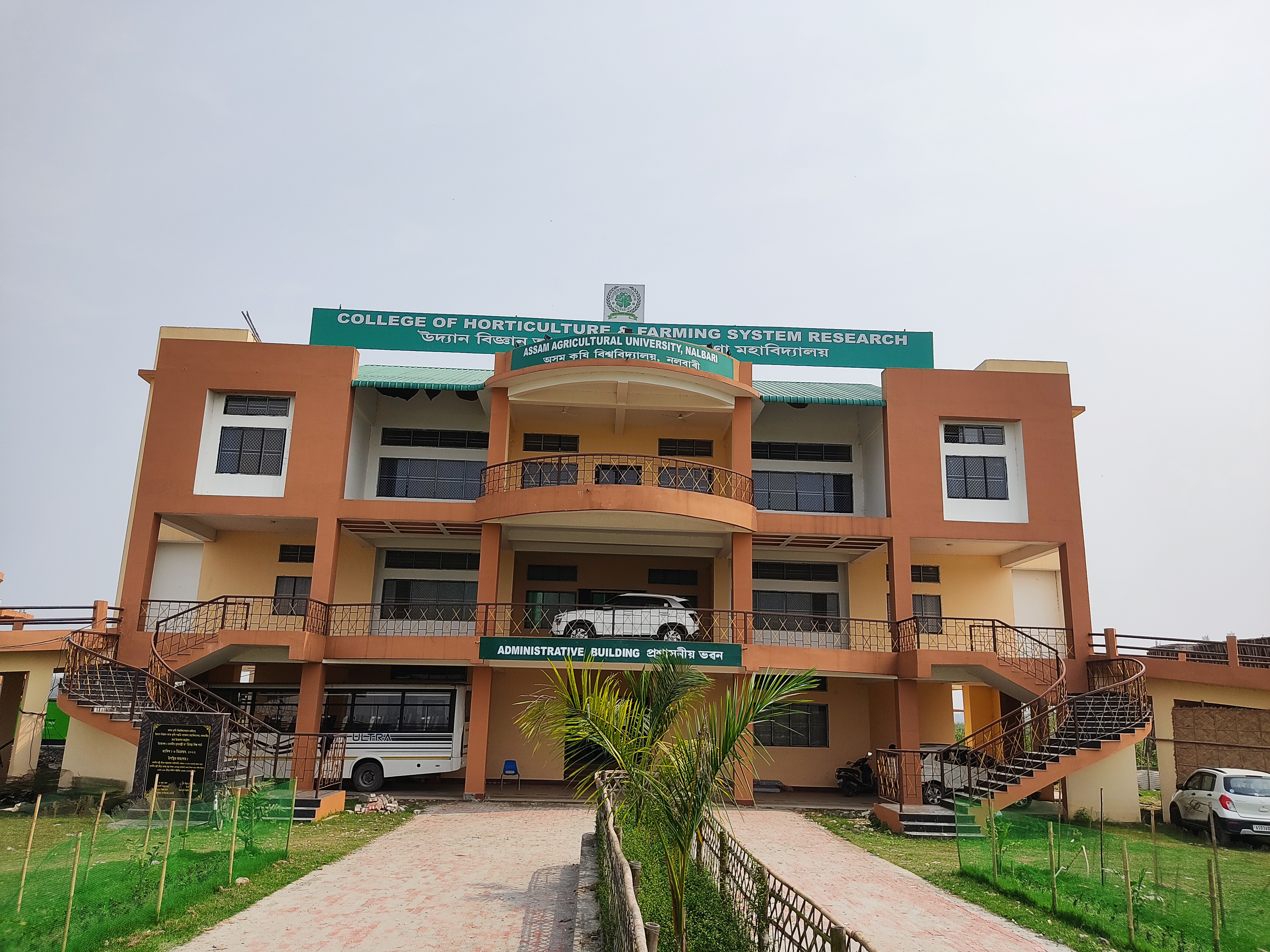 A photo of the librarian